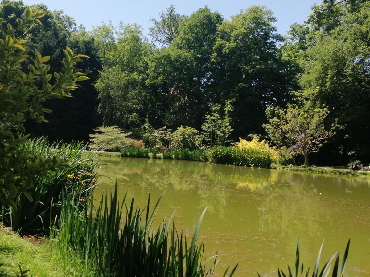 Chambre E Andre Le Domaine Des Jardins De Bracquetuit Ngoại thất bức ảnh